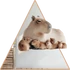 Kép 1/3 - Capybara Család NanoMatrica [S-méret]