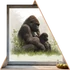 Kép 1/3 - Gorilla Élet Ablakmatrica [S-méret]