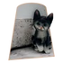 Kép 1/3 - Fekete Cica Figura