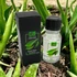 Kép 2/2 - Aloe Vera Illatolaj