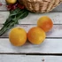 Kép 2/3 - 3 db-os MŰANYAG Dekorációs Mandarin