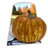 Kép 1/3 - ŐSZI Dísztök
