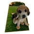 Kép 1/3 - Ülő Beagle Figura