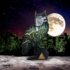 Kép 2/3 - 'Fülesbagoly Éjszakája nagy'  kézzel festett 3D dekoráció
