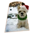 Kép 1/3 - Sapis Westie Figura