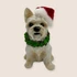 Kép 2/3 - Sapis Westie Figura