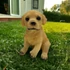 Kép 3/3 - Ülő Golden Retriever Figura
