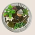 Kép 4/6 - "ZenGarden" Gondozásmentes Florárium