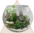 Kép 1/6 - "ZenGarden" Gondozásmentes Florárium