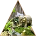 Kép 1/3 - "Egzotikus India" Florárium