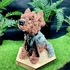 Kép 2/2 - "Bonó" Yorki